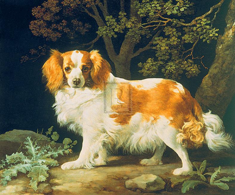"A King Charles Spaniel" horse racing artwork