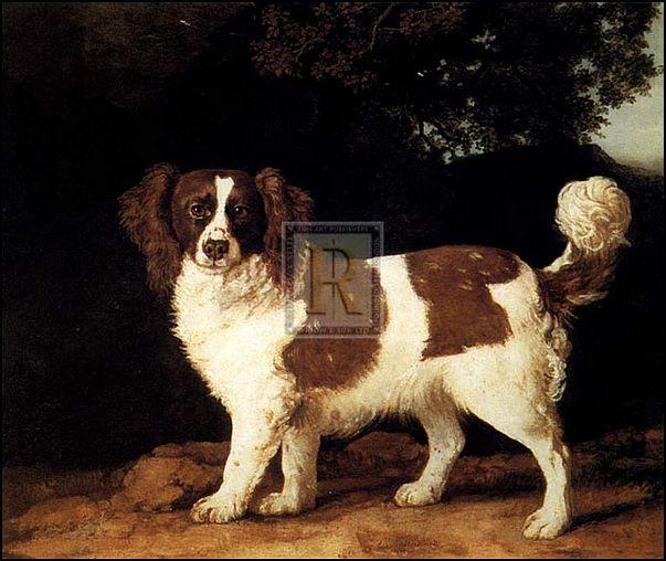 "Fanny; A favourite Spaniel Of Mrs Musters" horse racing artwork