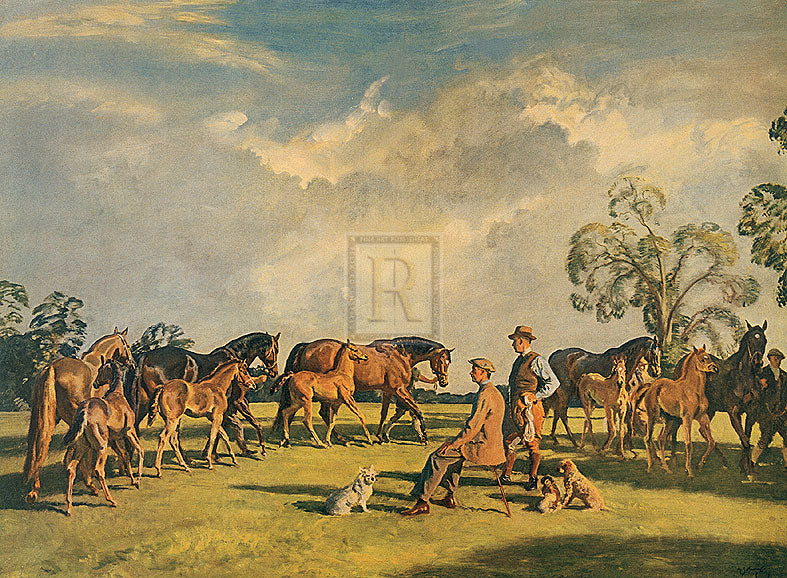 "Summer Evening; Cliveden" horse racing artwork