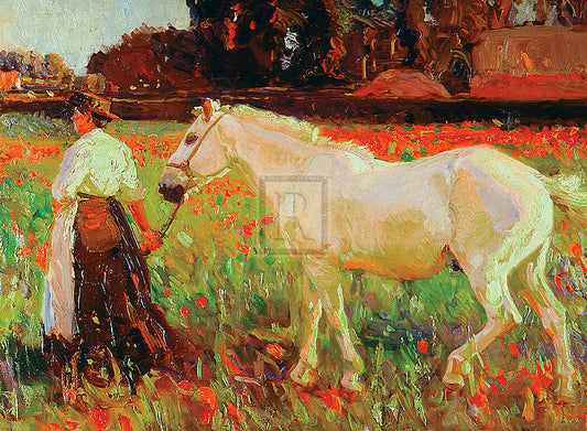 "The Poppy Field" horse racing artwork