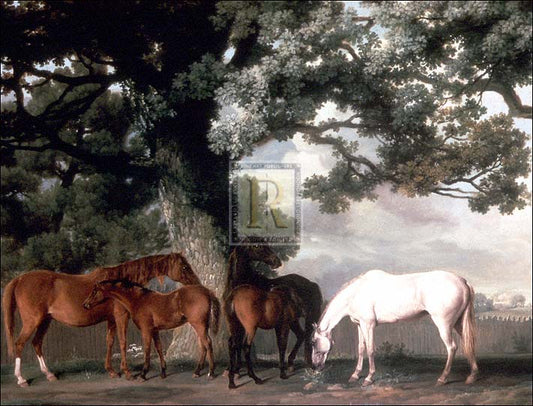 GEORGE STUBBS(British; 1724 - 1806) horse racing artwork