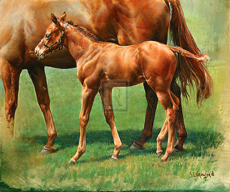 "Foal and Mother" horse racing artwork