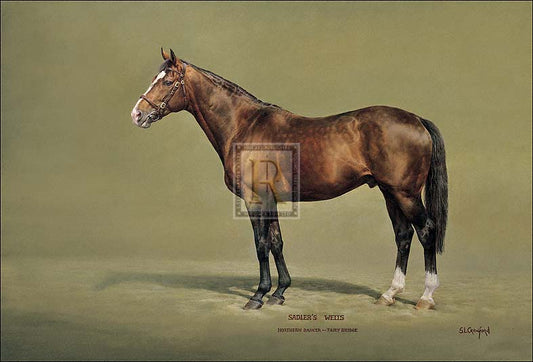 "Sadler's Wells" horse racing artwork