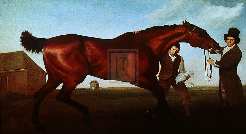 "Hambletonian; Rubbing Down" horse racing artwork