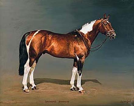 "Stanhopes Diddicoy" horse racing artwork