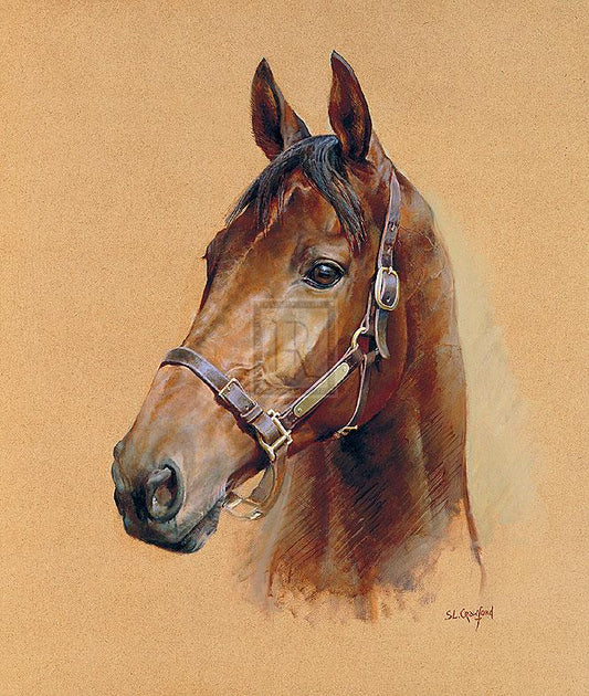 "Legend (Best Mate)" horse racing artwork