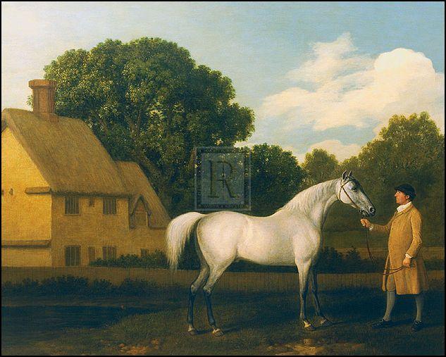 "Gimcrack" horse racing artwork