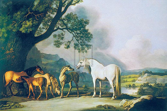 "A Grey Stallion with Mares and Foals" horse racing artwork