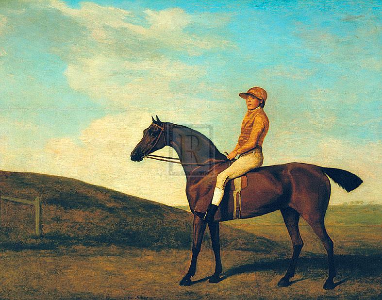 "Rosaletta" horse racing artwork