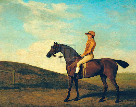 "Rosaletta" horse racing artwork