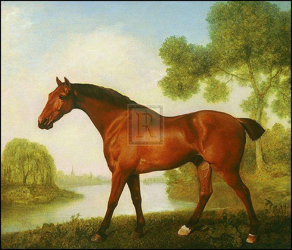 "Truss; A Hunter" horse racing artwork