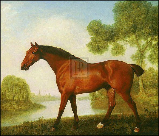 "Truss; A Hunter" horse racing artwork