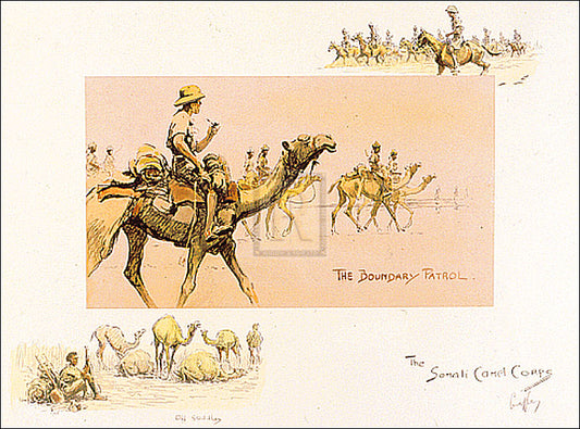"The Somali Camel Corps" horse racing artwork