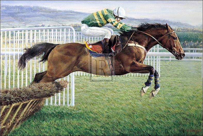 "Istabraq at Cheltenham" horse racing artwork