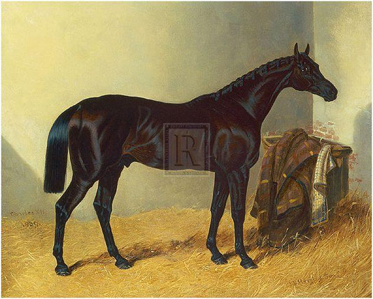 "Charles XII; 1839" horse racing artwork
