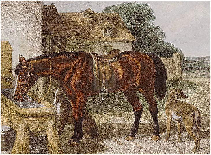 "A Cooling Drink" horse racing artwork