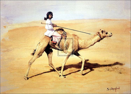 "Bedouin Rider with his Racing Camel" horse racing artwork