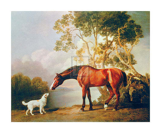 "A Bay Horse with a White Dog" horse racing artwork