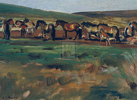 "Exmoor Ponies" horse racing artwork