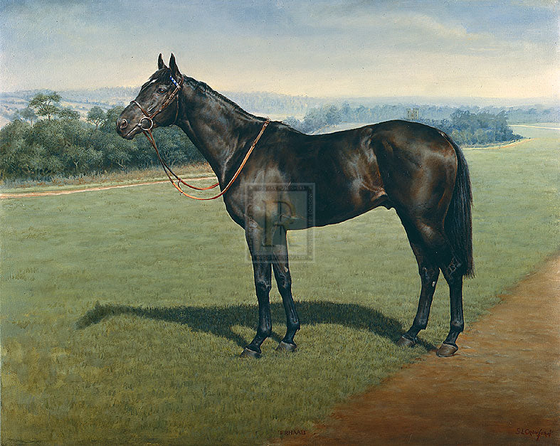"Erhaab" horse racing artwork