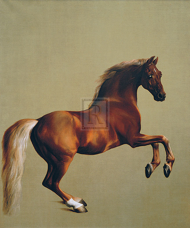 "Whistlejacket" horse racing artwork