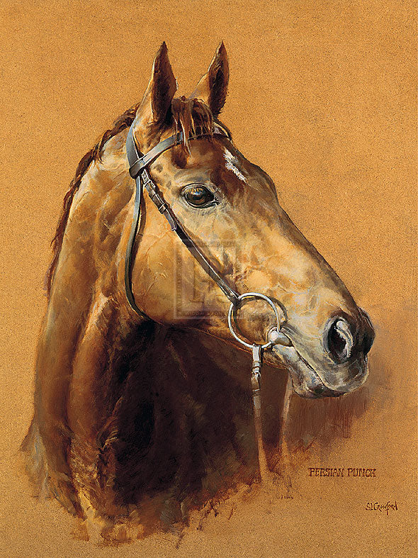 "Persian Punch" horse racing artwork