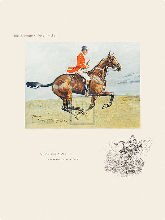 "A Head like a Lady..." horse racing artwork