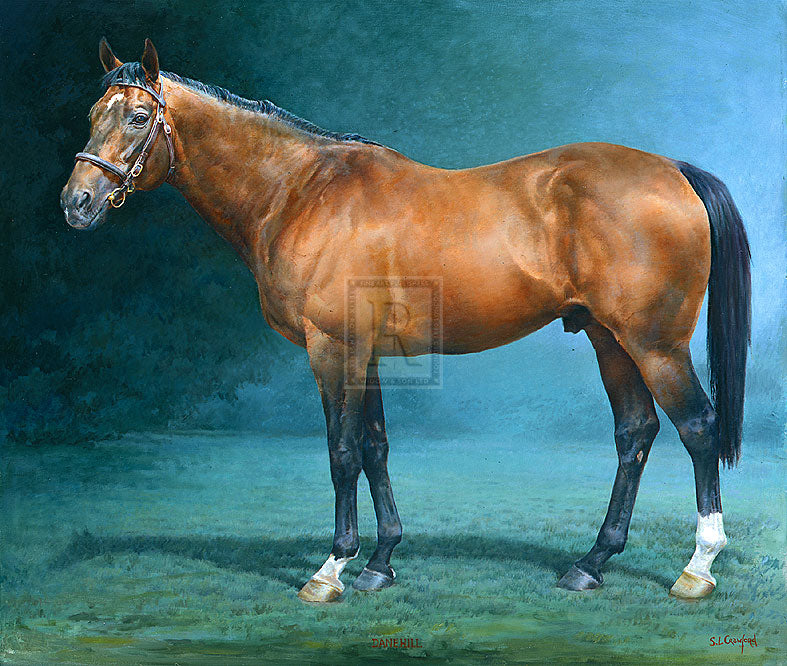 "Danehill" horse racing artwork