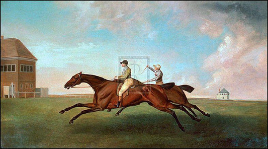 "Racing at Newmarket - Hambletonian and Diamond; 1799" horse racing artwork
