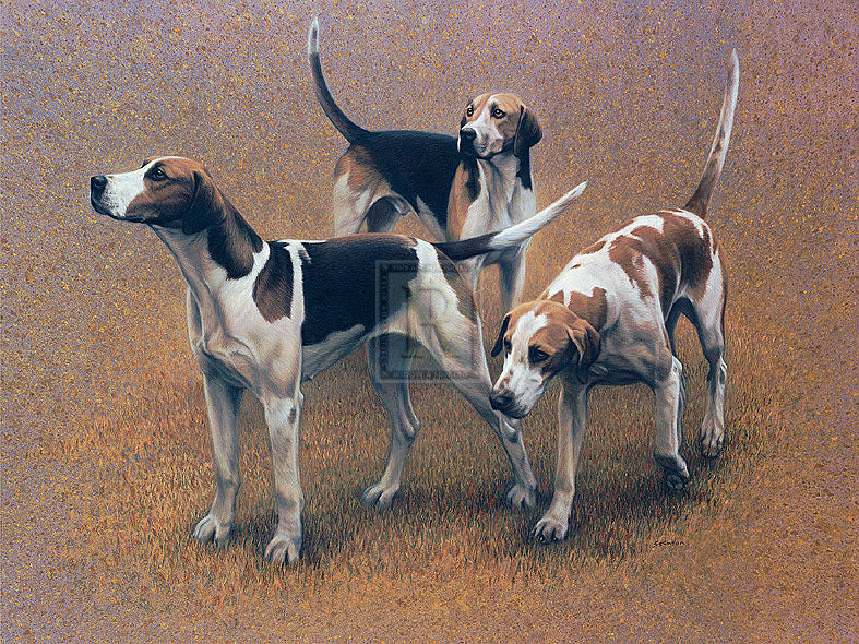 "Vale of the White Horse Foxhounds" horse racing artwork