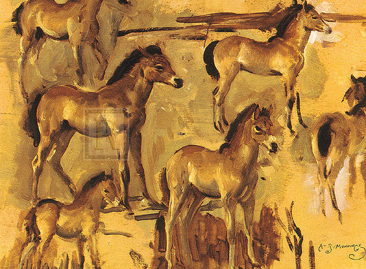 "Studies of Pixie; an Exmoor Foal" horse racing artwork