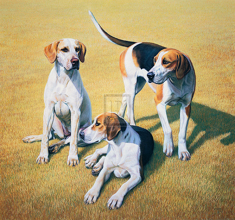 "Cotswold Foxhounds" horse racing artwork