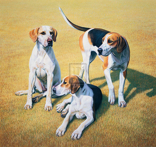 "Cotswold Foxhounds" horse racing artwork