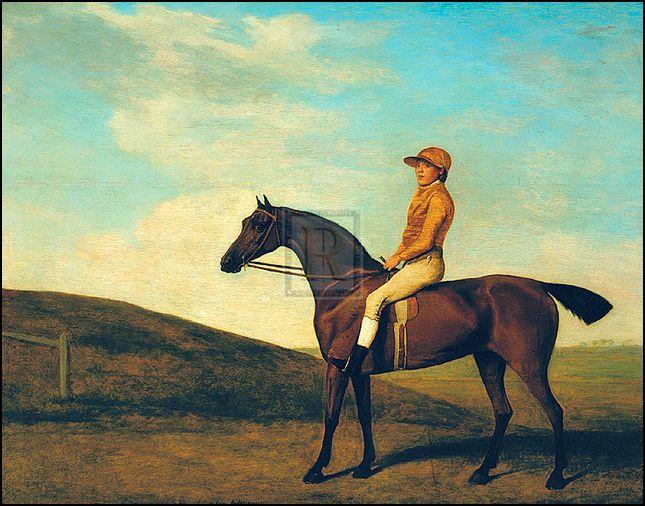 "Rosaletta" horse racing artwork