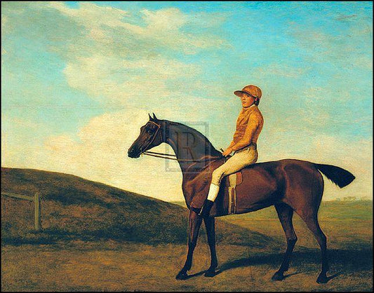 "Rosaletta" horse racing artwork