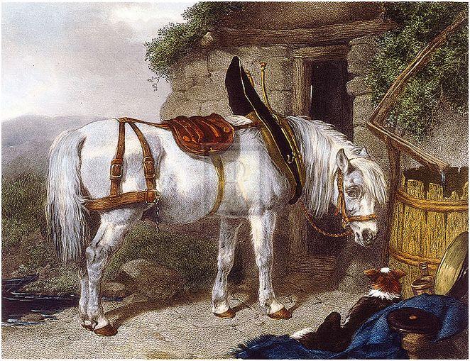 "Scotch Cart Horse" horse racing artwork