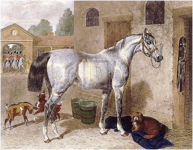 "A Soldier's Horse" horse racing artwork