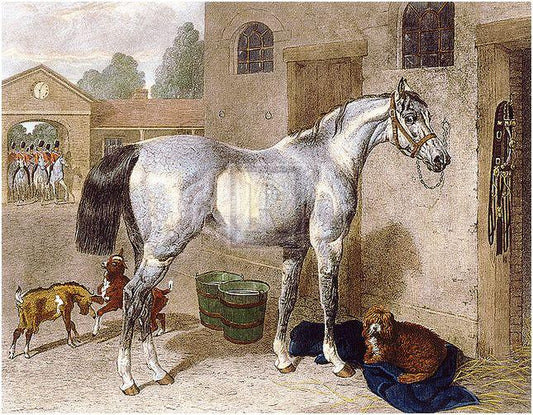 "A Soldier's Horse" horse racing artwork