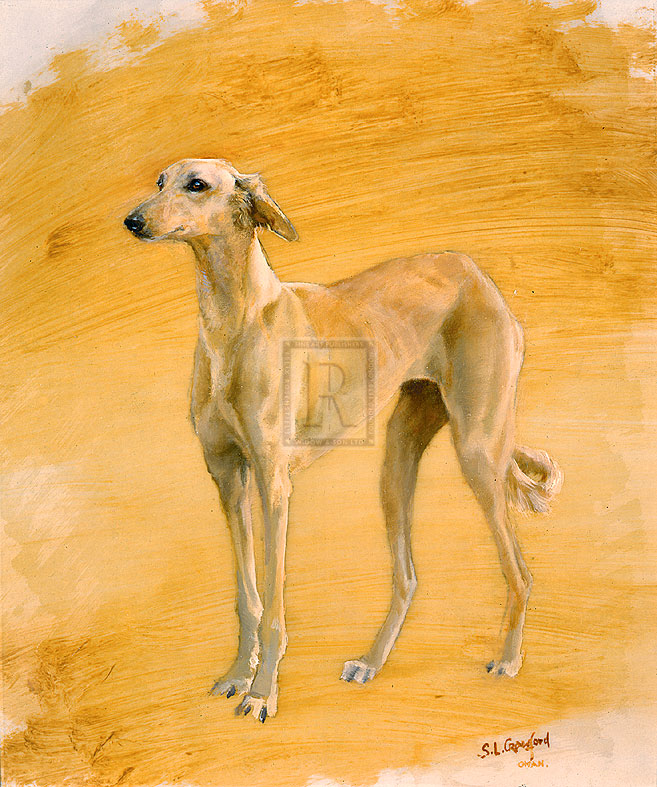 "Whippet Study" horse racing artwork