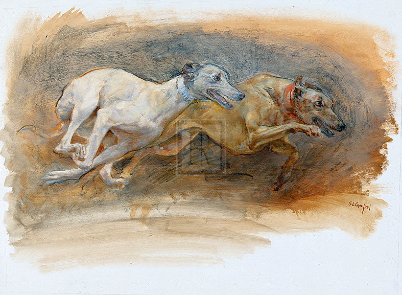 "Whippets Running" horse racing artwork