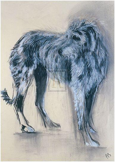 "Irish Wolfhound" horse racing artwork