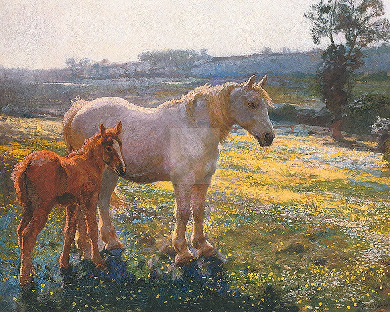 "Mare and Foal in a Field of Buttercups" horse racing artwork