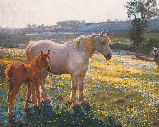 "Mare and Foal in a Field of Buttercups" horse racing artwork
