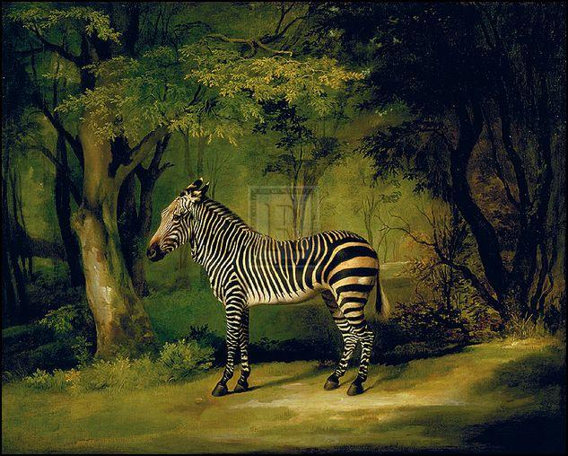 "A Zebra" horse racing artwork